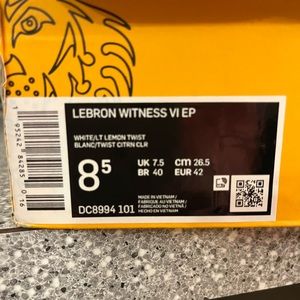 Nike LEBRON Witness VI EP